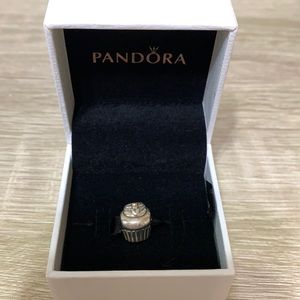 Pandora cupcake charm.